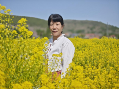 《会讲故事的小枕头》——播撒童真光辉,照亮成长之旅