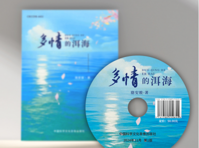 探索诗意与远方的完美融合——《多情的洱海》