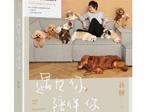 关注流浪动物 孙俪新书《遇见你,陪伴你》开启全网预售